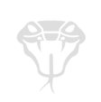 vipera-software-logo